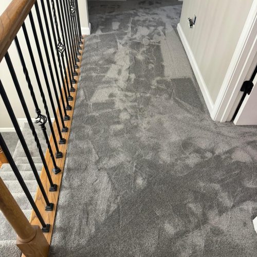 WhatsApp Image 2026-01-27 at 8.01.50 PM