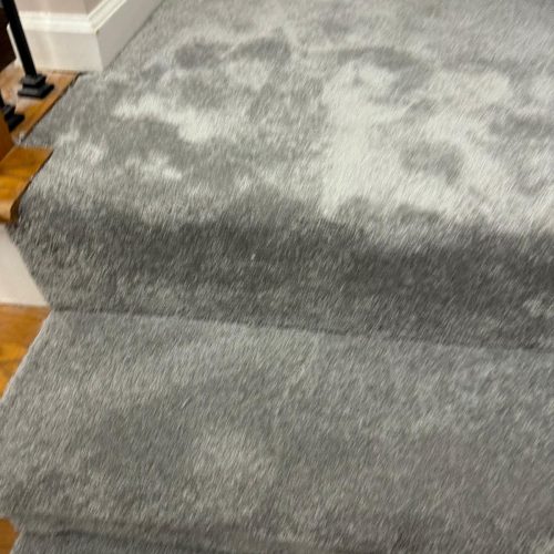 WhatsApp Image 2026-01-27 at 8.01.51 PM (2)