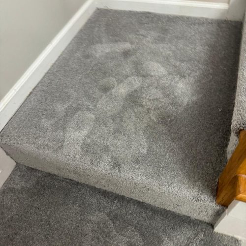 WhatsApp Image 2026-01-27 at 8.01.51 PM (3)